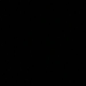 Meet your Posher, Gracie